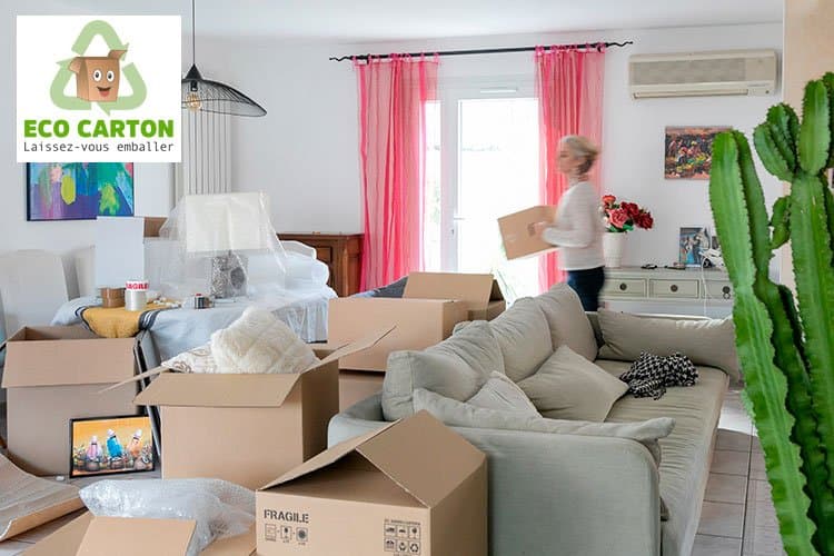 "Carton plein" pour le déménagement avec Ecocarton