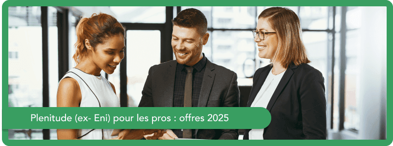 Plenitude (ex- Eni) pour les Pro : offres 2025