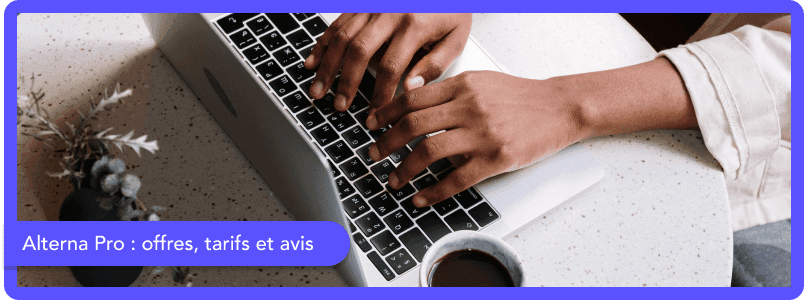 Quelles sont les offres Alterna Pro ?