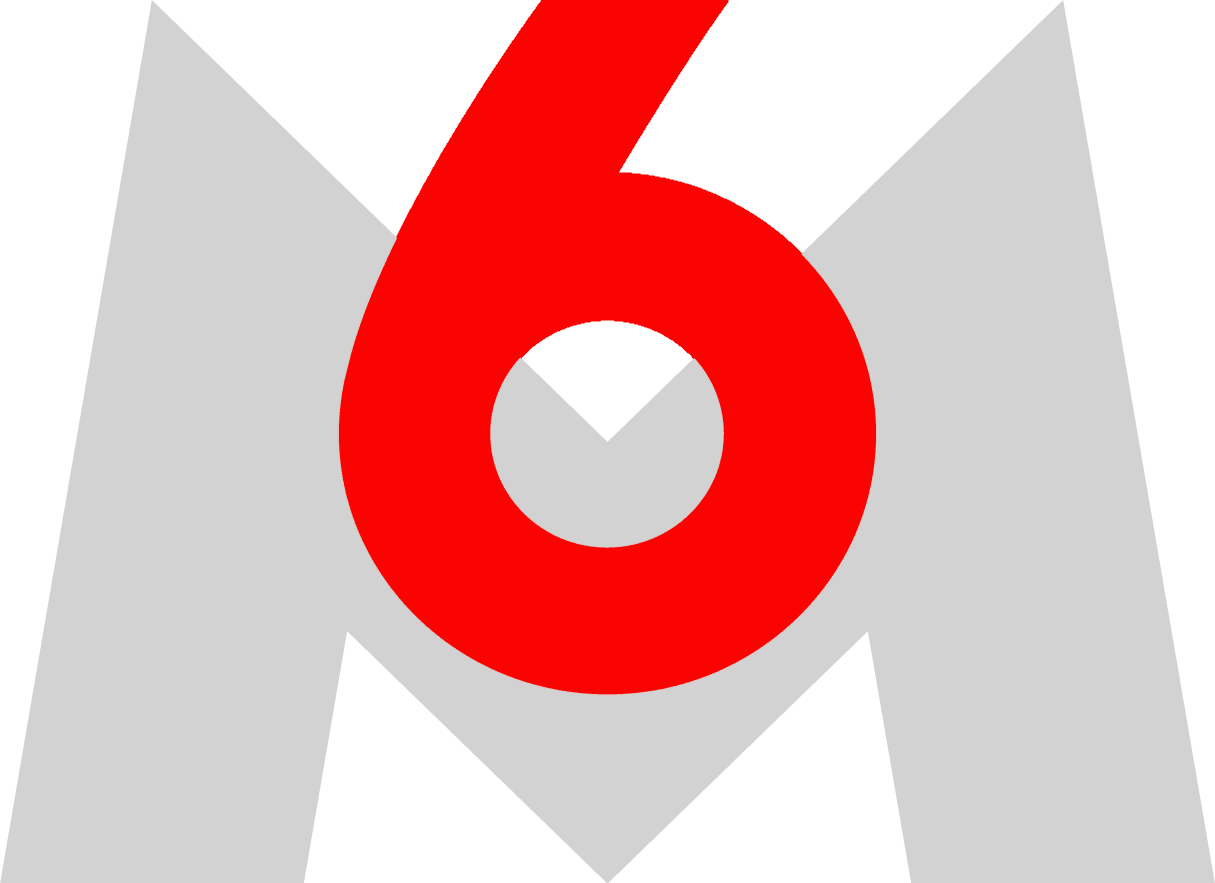 Logo 1 — M6