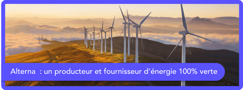Alterna : qui est ce fournisseur d’énergie 100 % verte ?