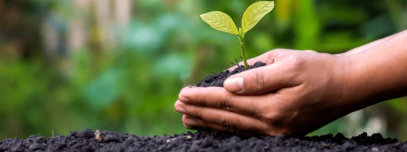 Un budget sous tension : l'écologie en ligne de mire