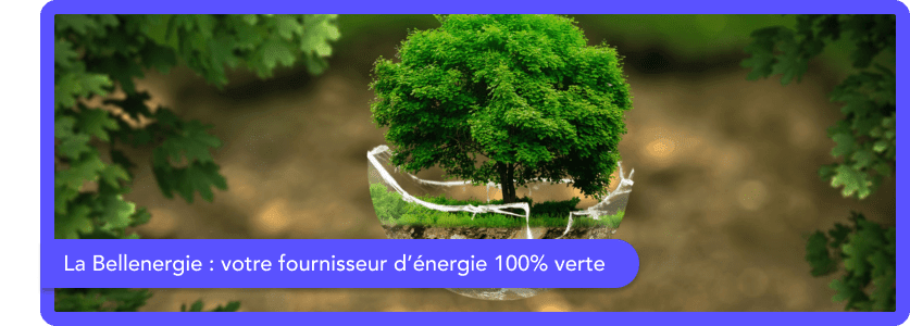 Qui est la bellenergie, votre fournisseur d'énergie 100% renouvelable ?