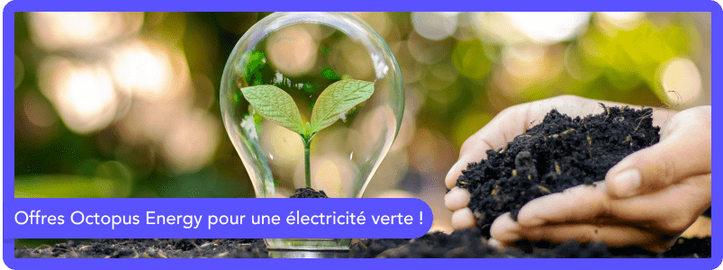 Les offres Octopus Energy en France : découvrez les tarifs !