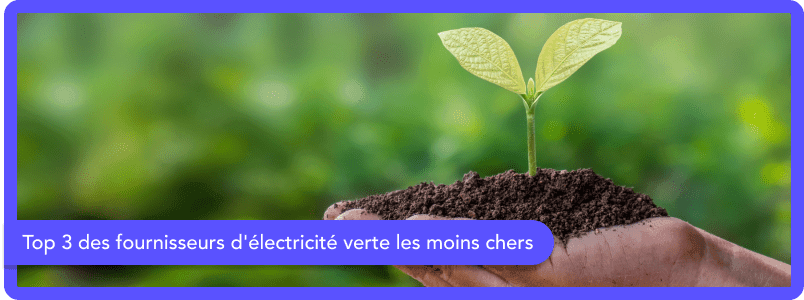 Top 3 des offres d'électricité verte les moins chères du mois de novembre 2025