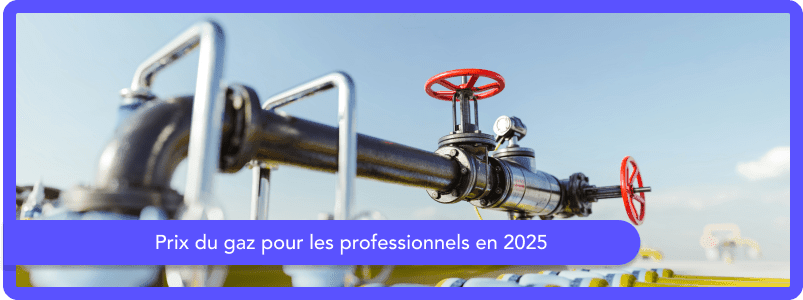 Prix du gaz pour les professionnels en 2025
