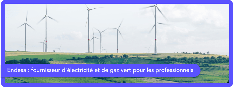 Endesa France : fournisseur d'électricité et de gaz vert pour les professionnels