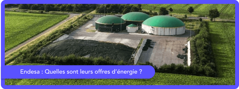 Quelles sont les offres d’Endesa France en 2026 ?