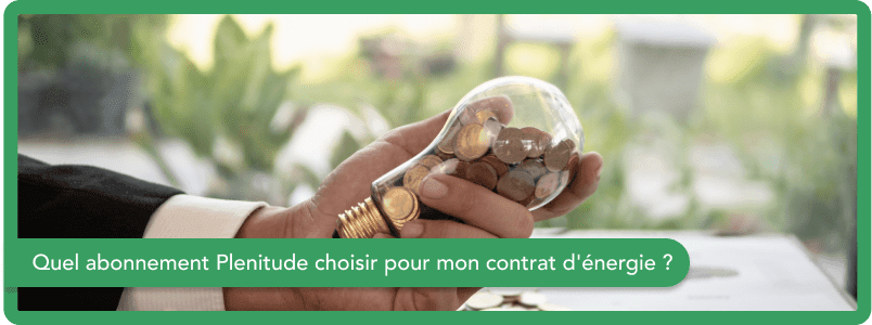 Quel abonnement Plenitude (ex-Eni) choisir pour mon contrat d'énergie ?