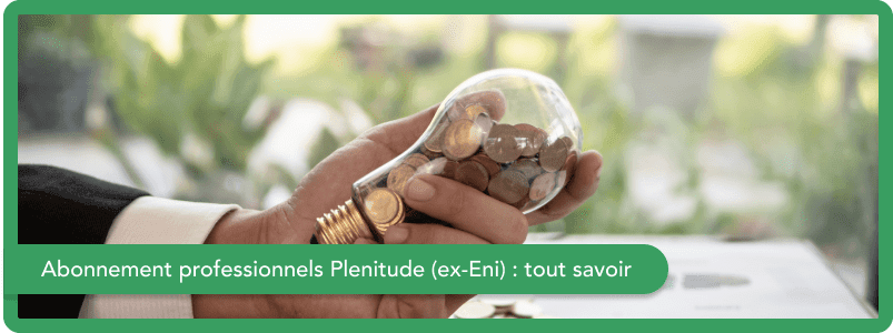 Abonnement pro Plenitude (ex-Eni) : tout savoir sur les offres d'électricité et de gaz du fournisseur italien
