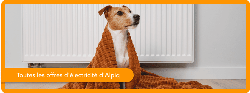 Toutes les offres Alpiq 2026 expliquées : prix et caractéristiques