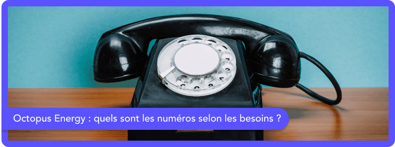 Les numéros de téléphone du service client Octopus Energy