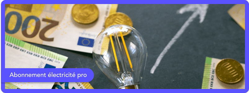 Abonnement électricité pro