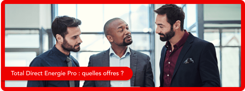 Quelles sont les offres de Total Direct Energie pour les professionnels ?